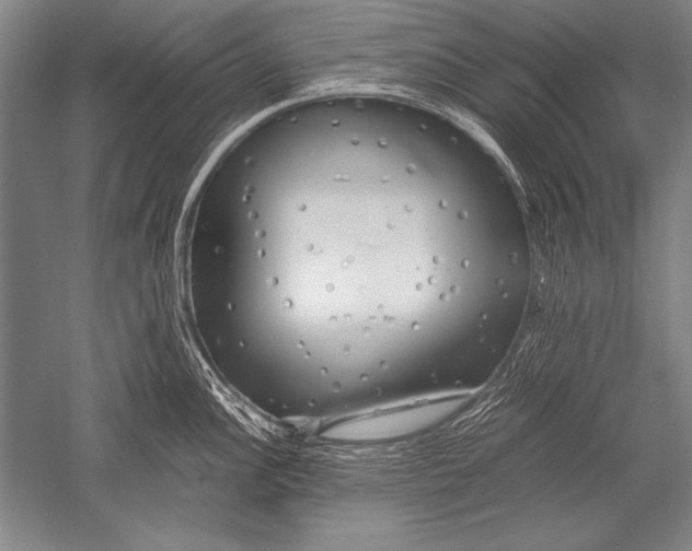 X0000051271148200507082236