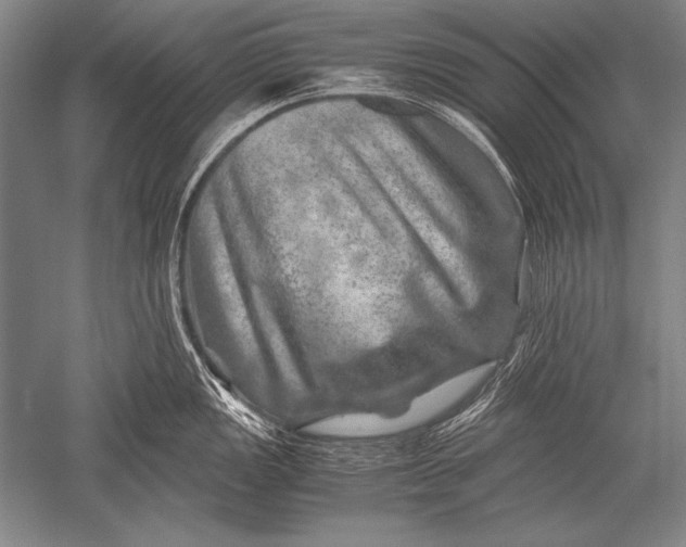 X0000051271149200507082236