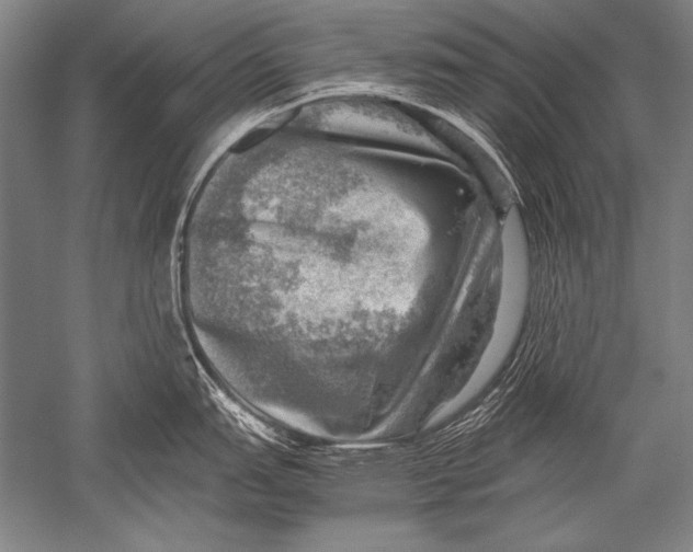 X0000051271151200507082236