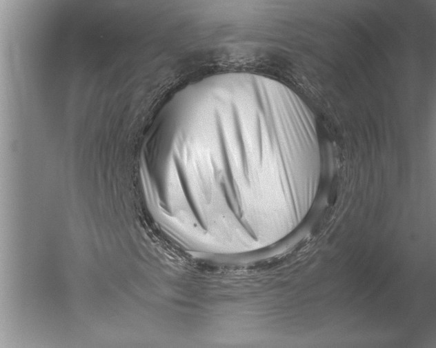 X0000051271153200507082236