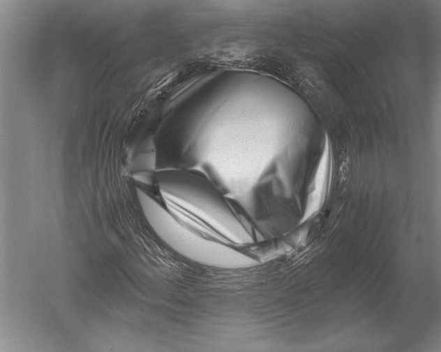 X0000051271156200507082235