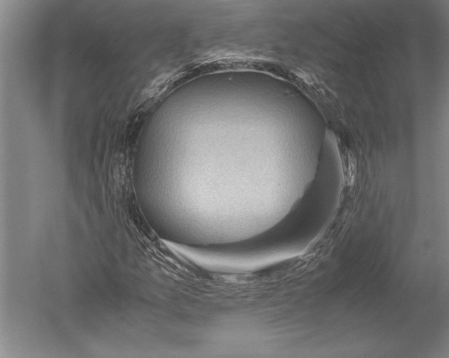 X0000051271157200507082235