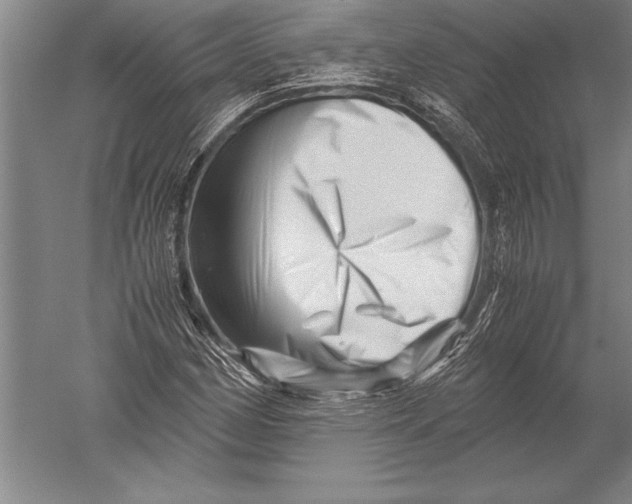 X0000051271162200507082235