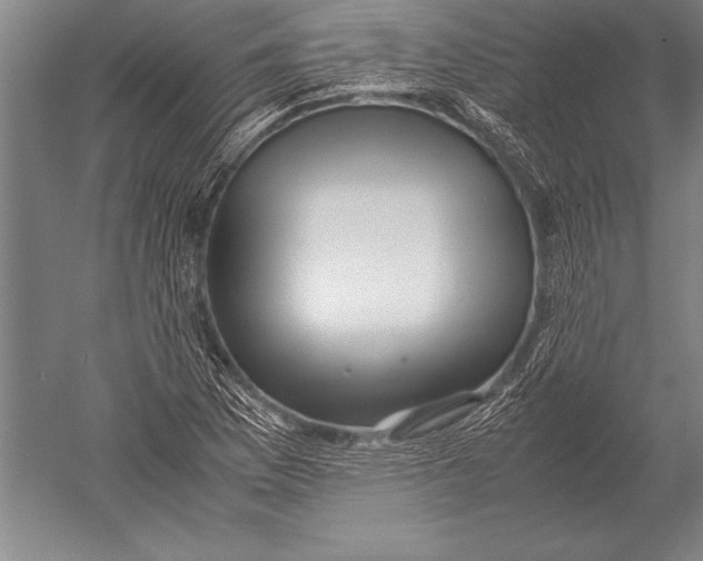 X0000051271169200507082235