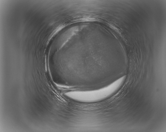 X0000051271171200507082235