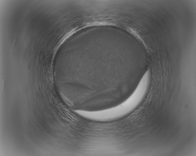 X0000051271173200507082235