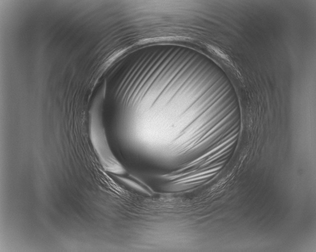 X0000051271177200507082235