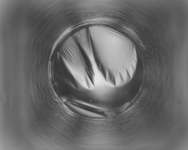 X0000051271180200507082235