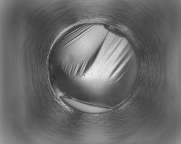 X0000051271184200507082235