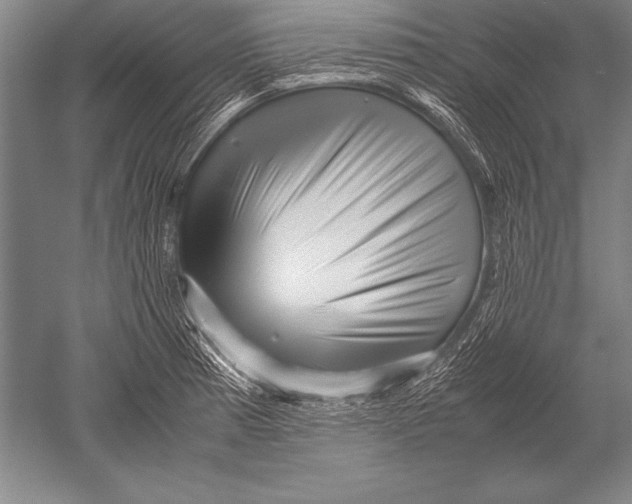 X0000051271185200507082235