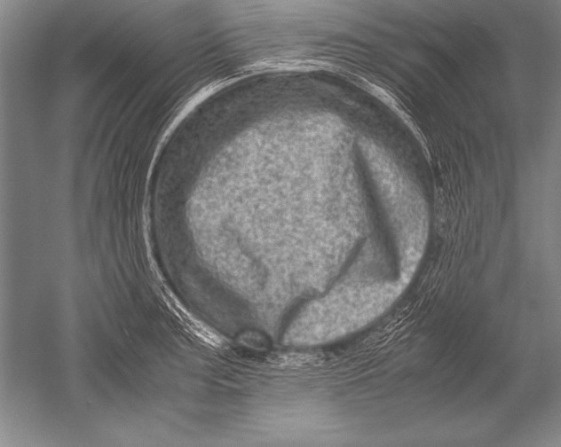 X0000051271187200507082235