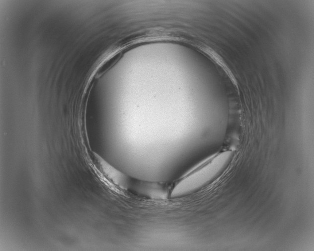 X0000051271197200507082235