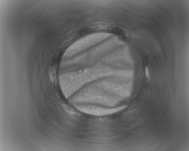 X0000051271203200507082234