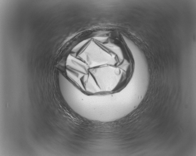 X0000051271206200507082234