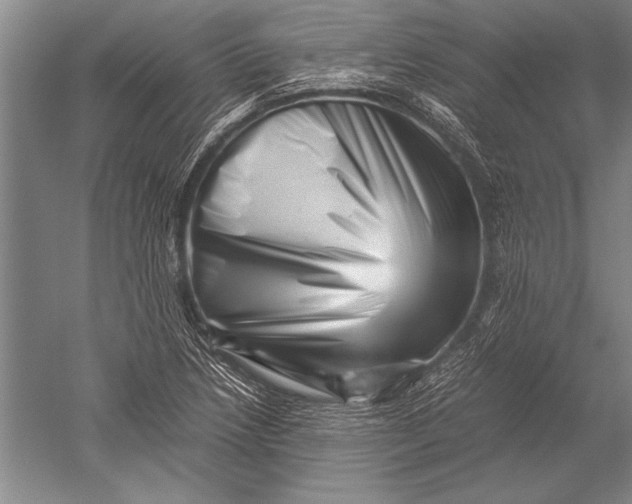 X0000051271218200507082234