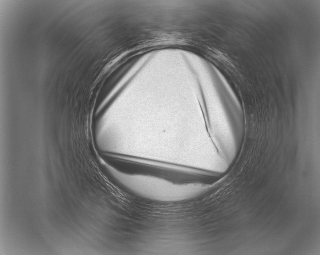 X0000051271220200507082234