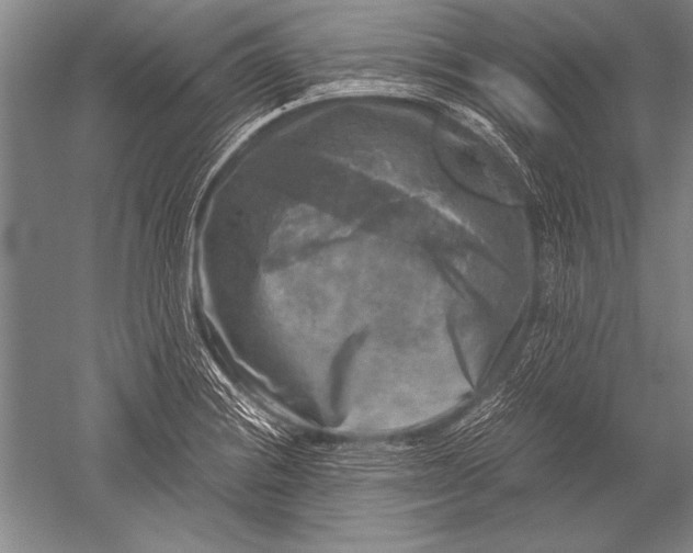 X0000051271228200507082234