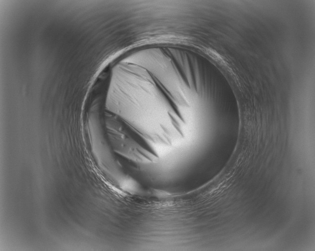 X0000051271230200507082234