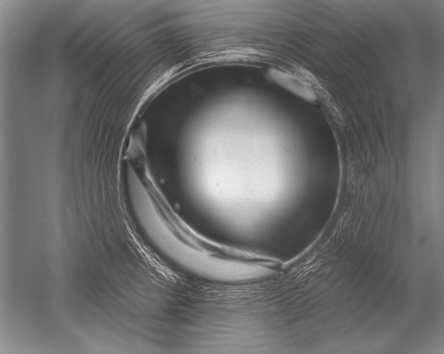 X0000051271234200507082234
