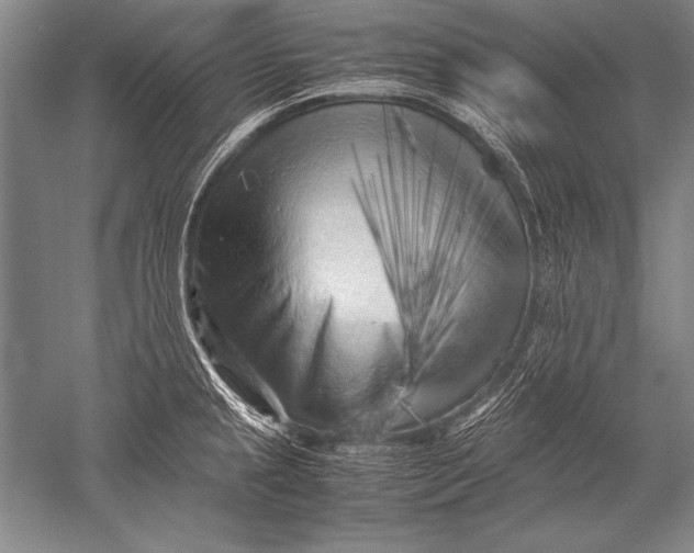 X0000051271237200507082235