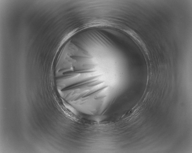 X0000051271242200507082235