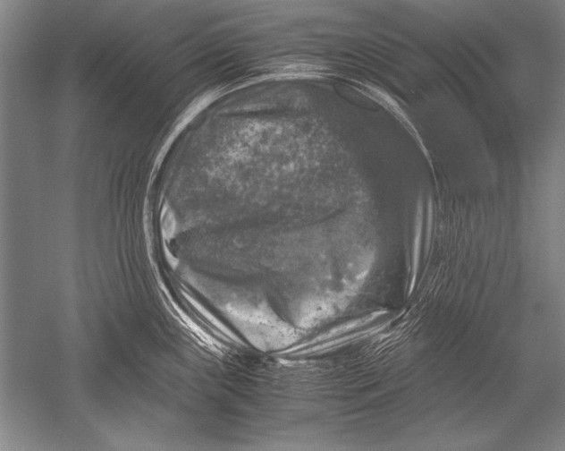 X0000051271243200507082235