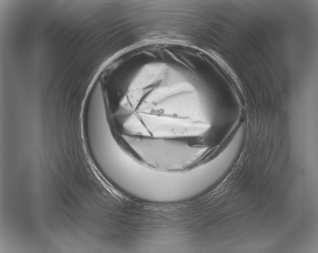 X0000051271246200507082235