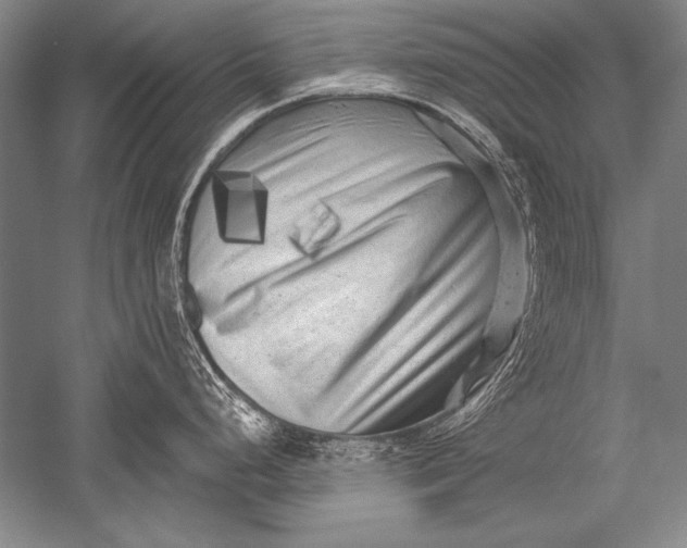 X0000051271248200507082235