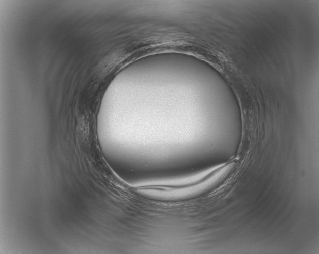 X0000051271257200507082234