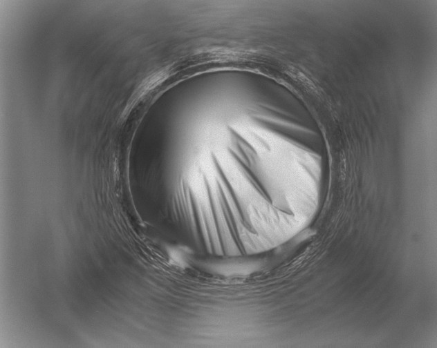 X0000051271261200507082234