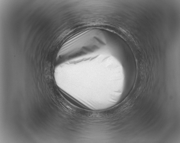 X0000051271265200507082234