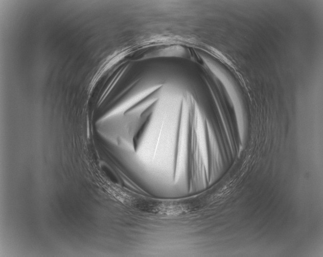 X0000051271269200507082234