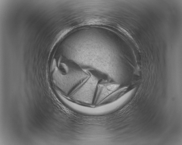 X0000051271277200507082233