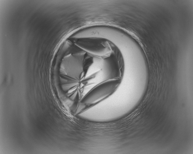 X0000051271279200507082233