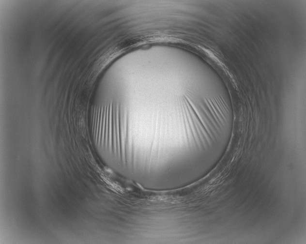 X0000051271281200507082233