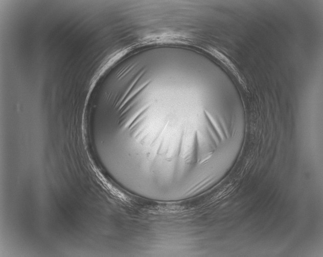 X0000051271285200507082233