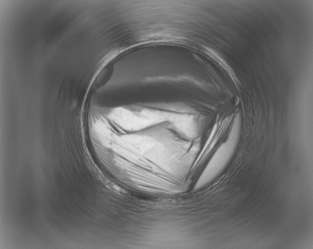 X0000051271291200507082233