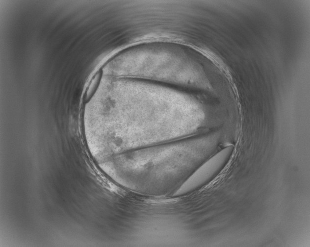 X0000051271296200507082233