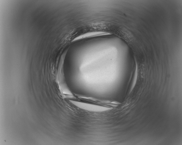 X0000051271298200507082232