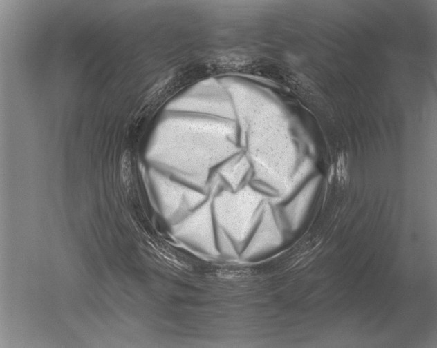 X0000051271299200507082232