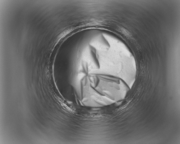 X0000051271308200507082232