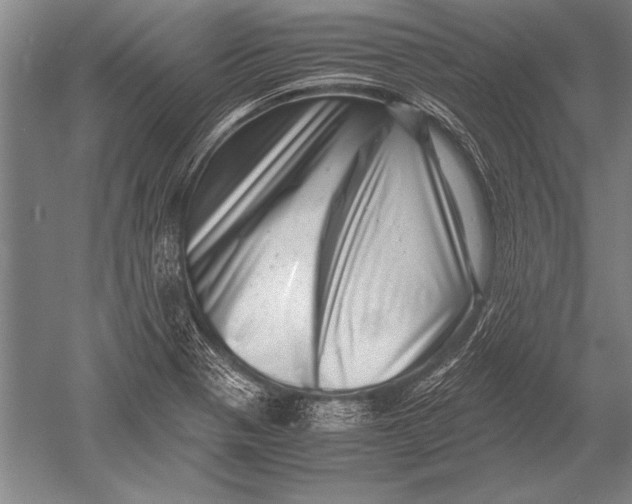 X0000051271321200507082233