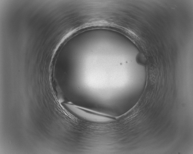 X0000051271326200507082233