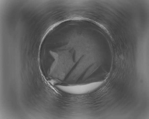 X0000051271327200507082233