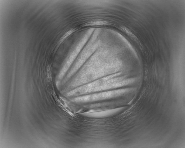 X0000051271329200507082233