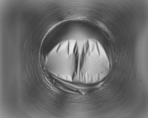 X0000051271332200507082233