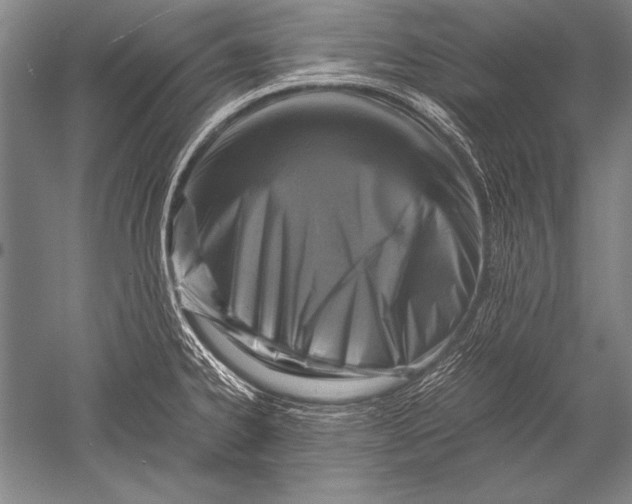 X0000051271334200507082233
