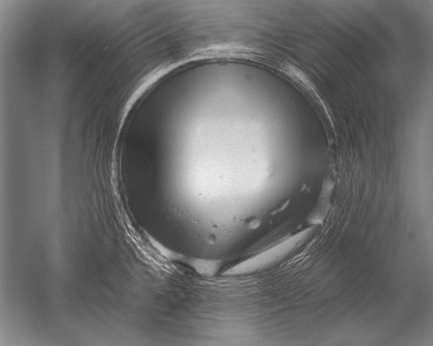 X0000051271336200507082233