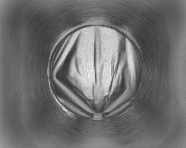 X0000051271343200507082233