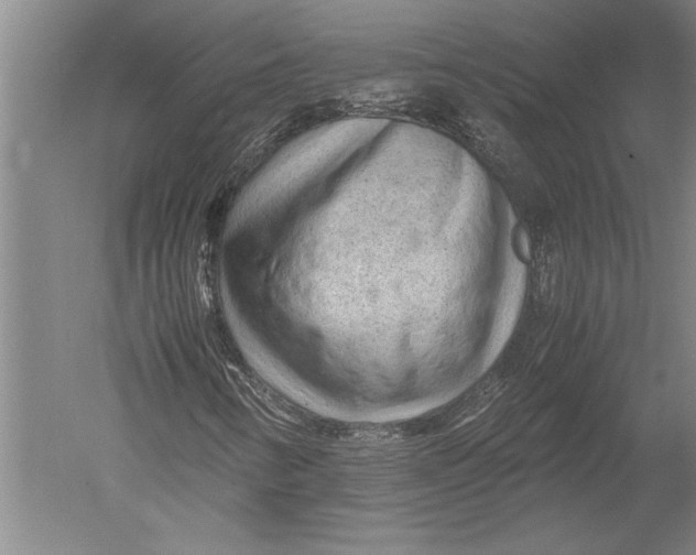 X0000051271346200507082232